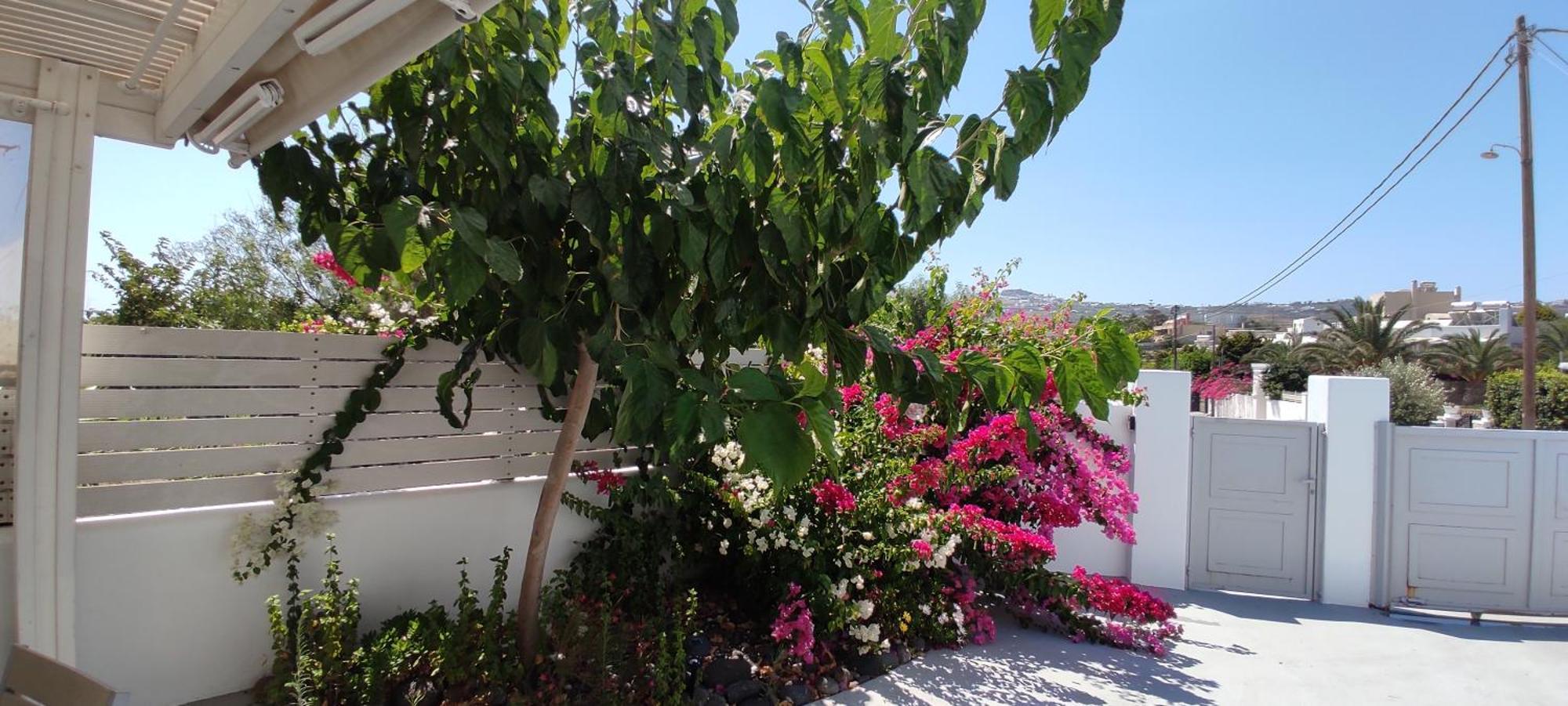 Jb Villa (Adults Only) Mesaria Buitenkant foto